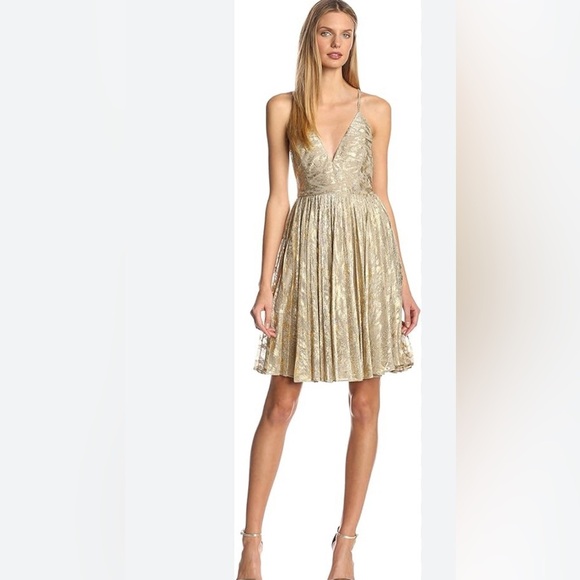 Sam Edelman Russian GoldRomance Dress - Picture 3 of 15